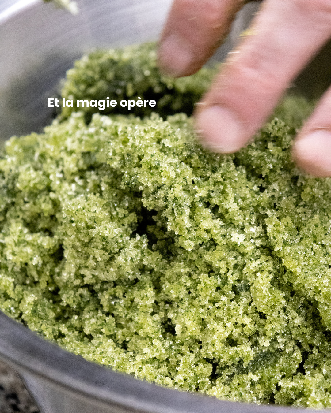Crème glacée feuilles de menthe fraîche