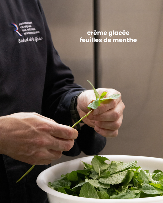Crème glacée feuilles de menthe fraîche