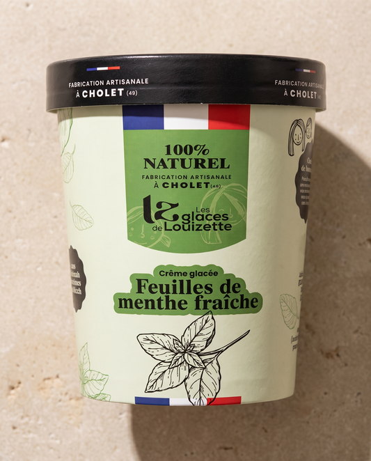 Crème glacée feuilles de menthe fraîche